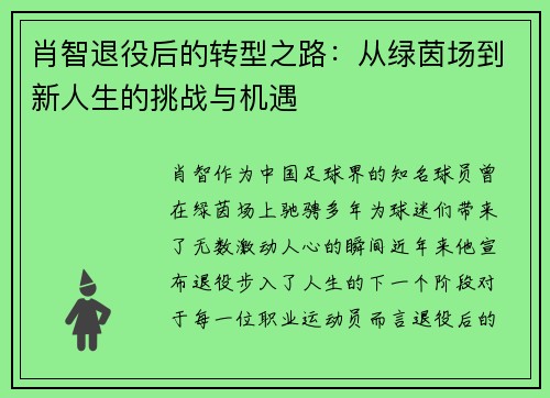 肖智退役后的转型之路：从绿茵场到新人生的挑战与机遇